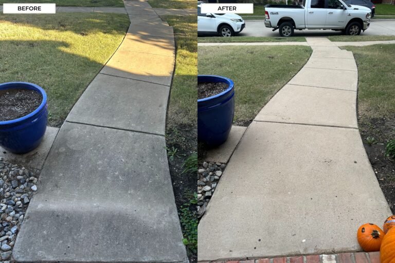 Sidewalk Cleaning