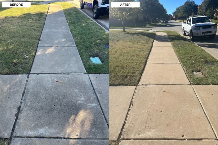 Sidewalk Cleaning